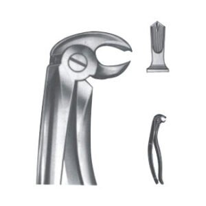 Extracting Forceps - English Pattern