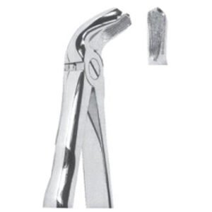 Extracting Forceps - Mead Pattern