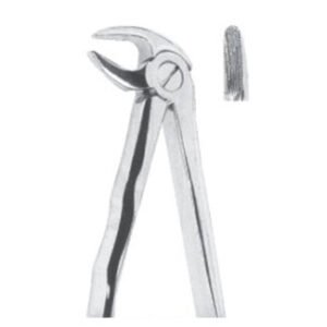 Extracting Forceps With Anatomically Shapad Handl