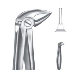 Extracting Forceps - English Pattern