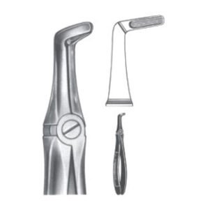 Extracting Forceps - English Pattern