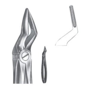 Extracting Forceps - English Pattern