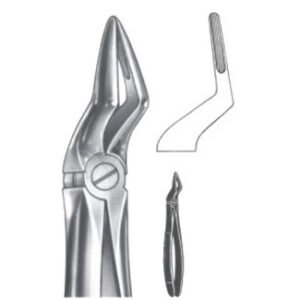 Extracting Forceps - English Pattern