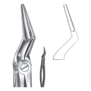 Extracting Forceps - English Pattern