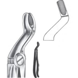 Extracting Forceps - English Pattern