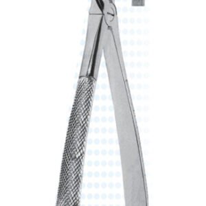 Extracting Forceps - English Pattern