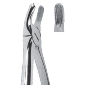 Extracting Forceps - English Pattern
