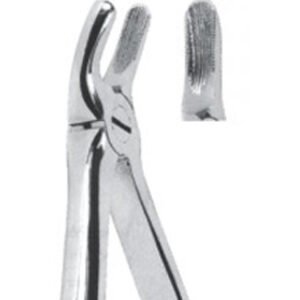 Extracting Forceps - English Pattern