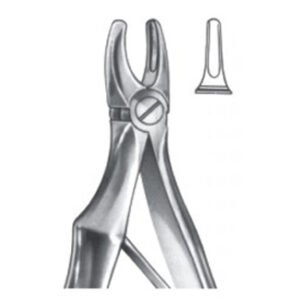 Extracting Forceps - English Pattern