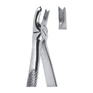 Extracting Forceps - English Pattern