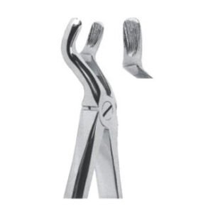 Extracting Forceps - English Pattern