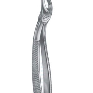 Extracting Forceps - English Pattern