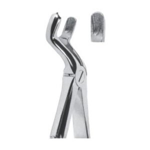 Extracting Forceps - English Pattern