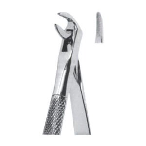Extracting Forceps - English Pattern