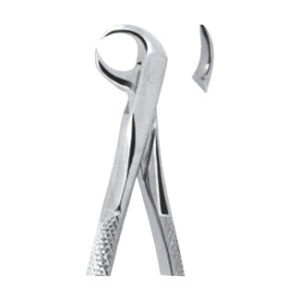 Extracting Forceps - English Pattern