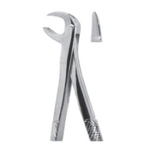 Extracting Forceps - English Pattern