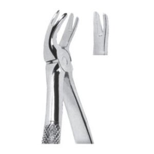 Extracting Forceps - English Pattern