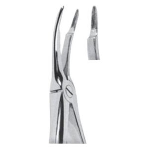 Extracting Forceps - English Pattern