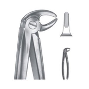 Extracting Forceps - English Pattern